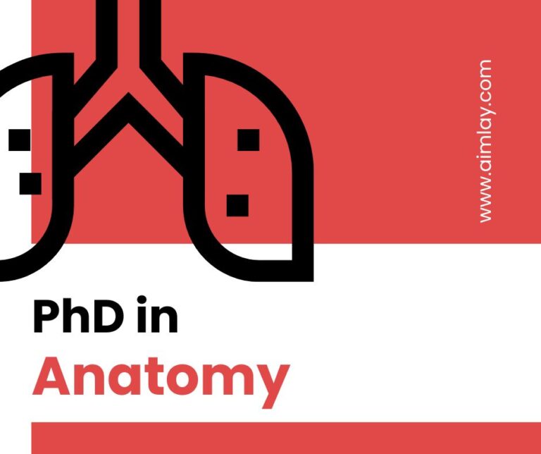 PhD in Anatomy