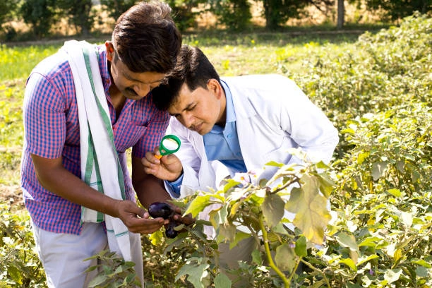 agricultural science